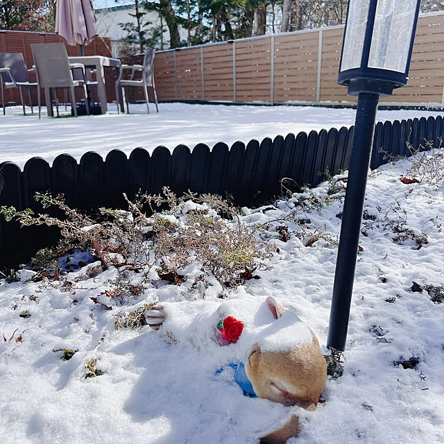 chanduさんの実例写真