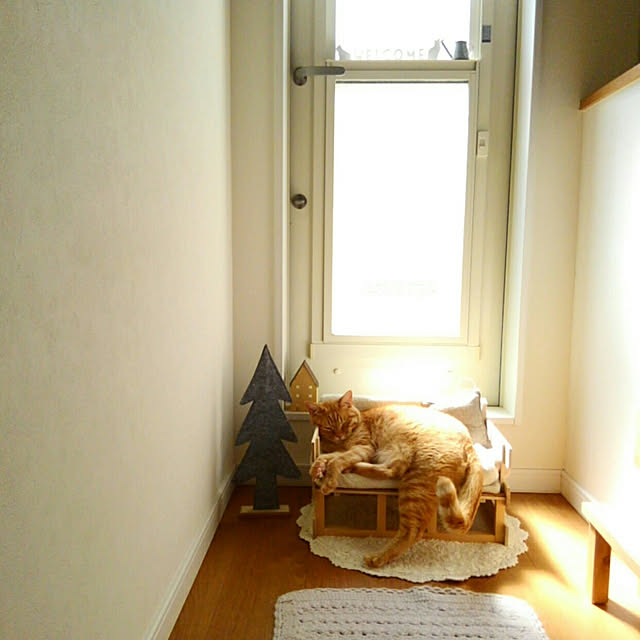 mayutan.さんの実例写真