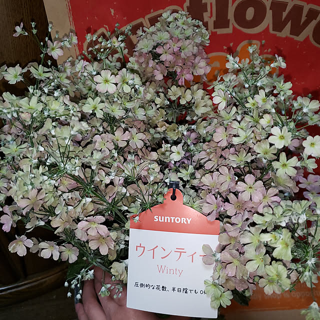 HTCさんの実例写真