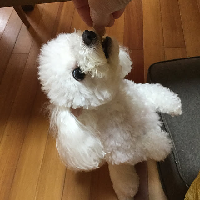 kakoさんの実例写真