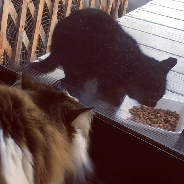 uraraさんの実例写真