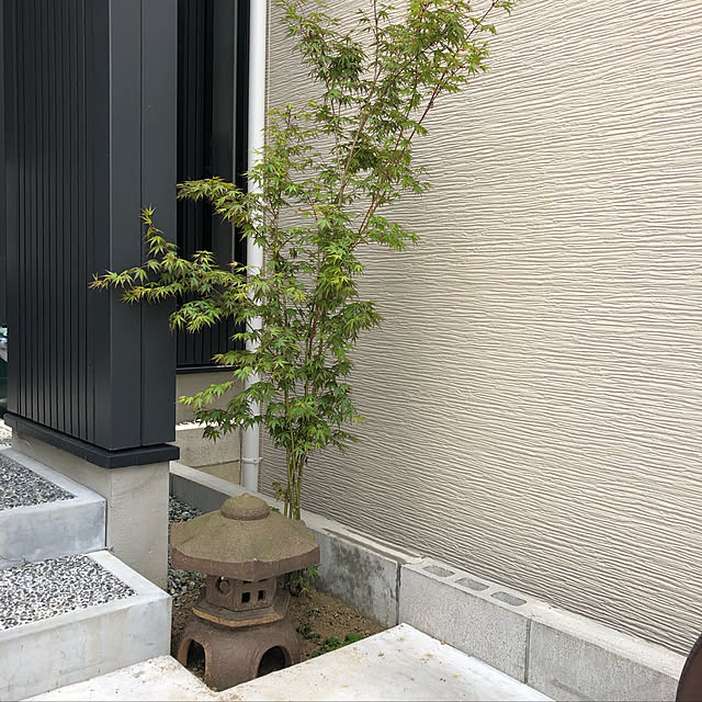 玄関/入り口のインテリア実例 - 2019-04-19 14:50:19