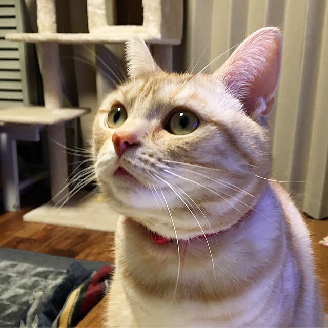 yoshi.Yさんの実例写真