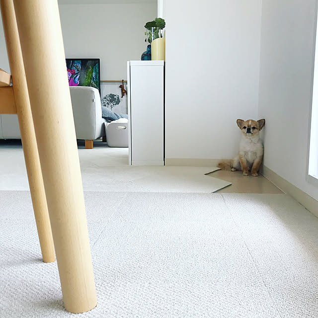 haruhinaさんの実例写真