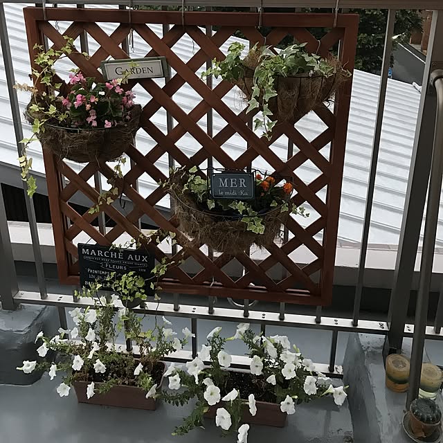 piccoさんの実例写真