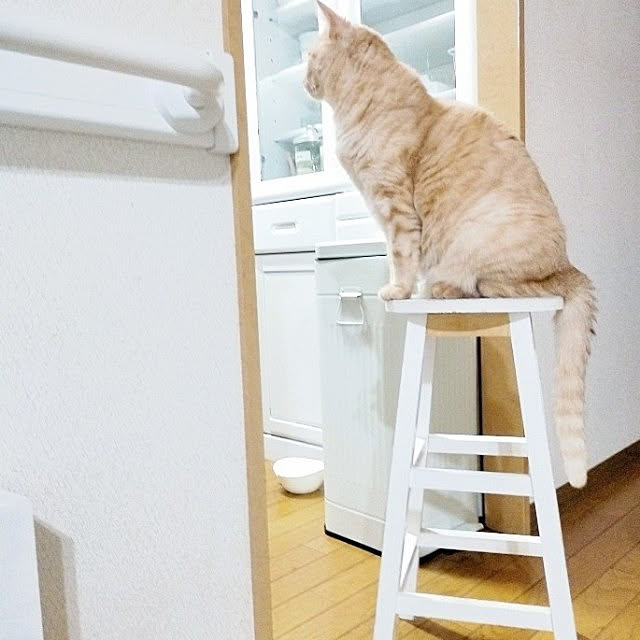 heart.emiemi57.whiteさんの実例写真