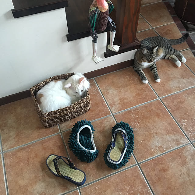 shigimiさんの実例写真