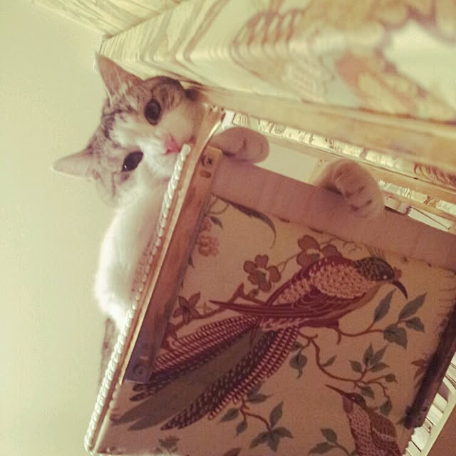 emmyyさんの実例写真