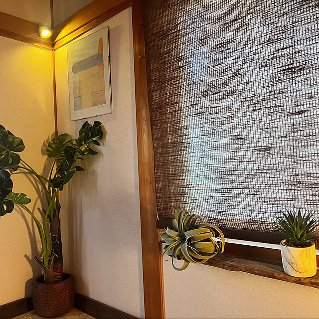 rookuさんの実例写真