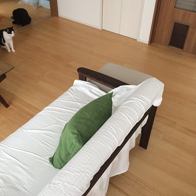 aruさんの実例写真