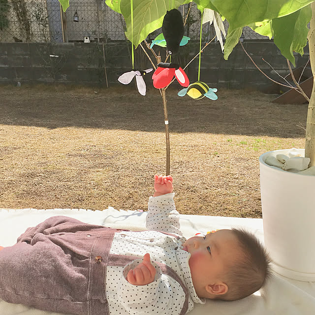 yokoさんの実例写真