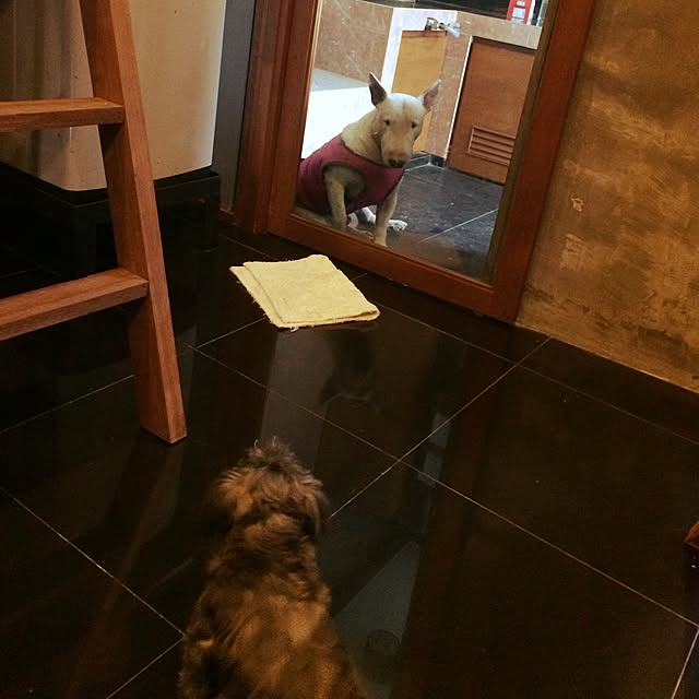 Thammaratさんの実例写真