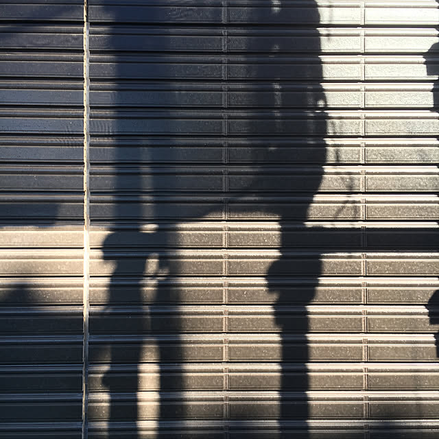 kuruさんの実例写真