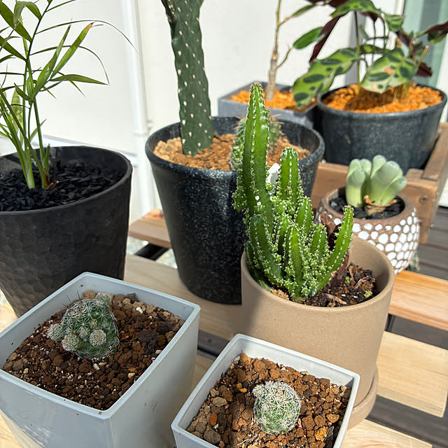 tommさんの実例写真