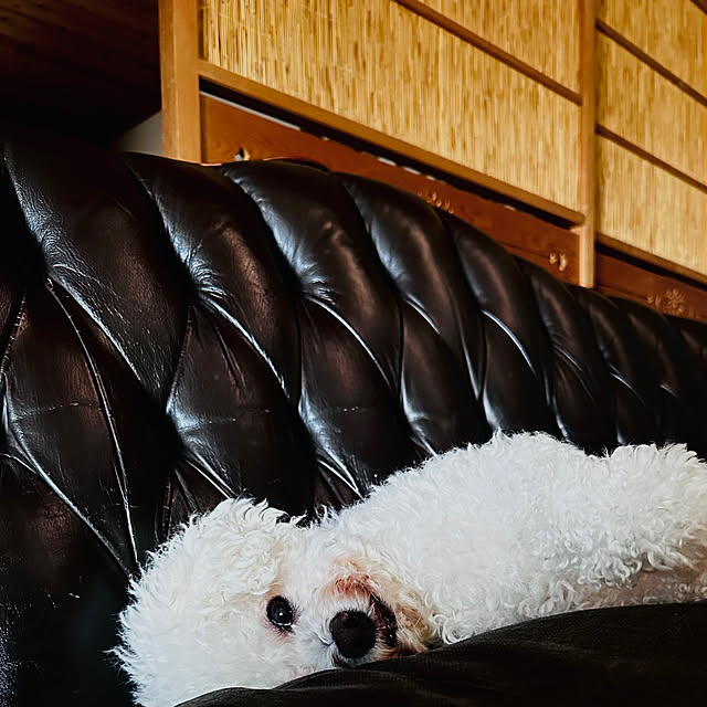 chacoさんの実例写真
