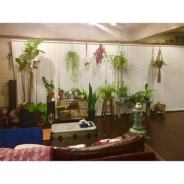 ananya___さんの実例写真