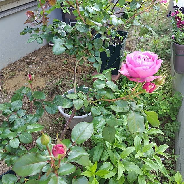 moonさんの部屋