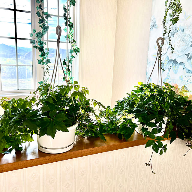 AYUKOさんの部屋