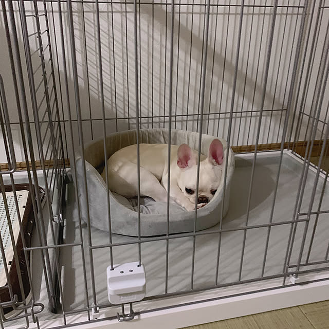 me_moさんの実例写真