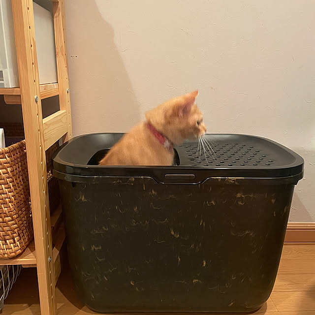 okogeさんの部屋
