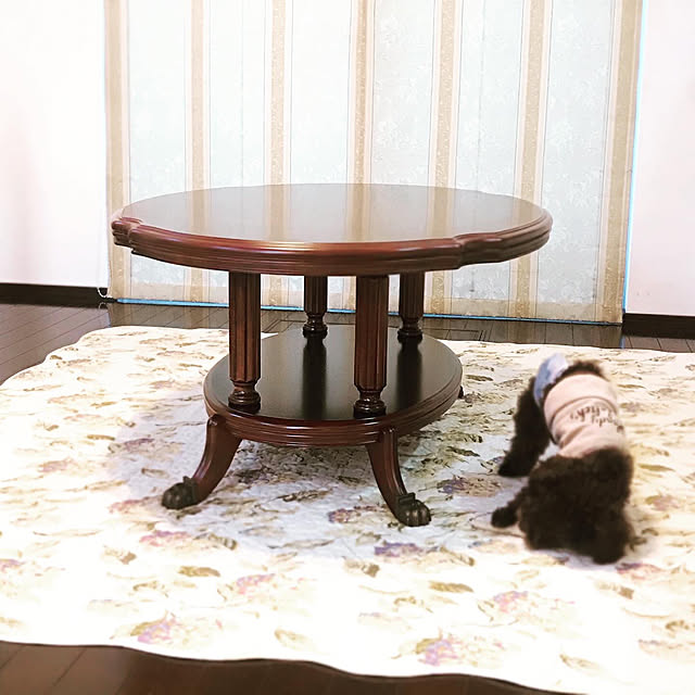 Mayさんの実例写真
