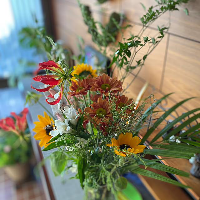 玄関/入り口/花のある暮らし/和テイスト/植物に癒される/いいね！ありがとうございます◡̈♥︎...などのインテリア実例 - 2023-10-04 08:36:33