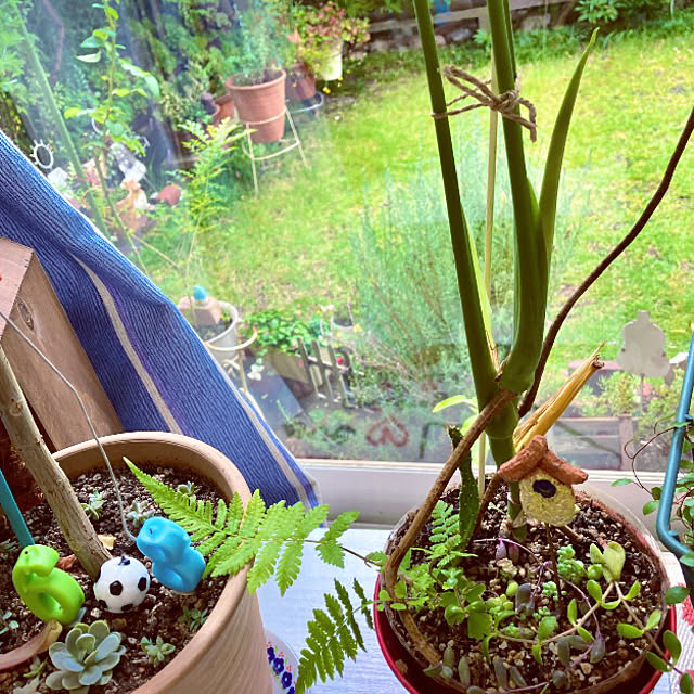 takakoさんの部屋