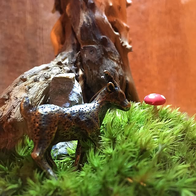 mosslightさんの実例写真