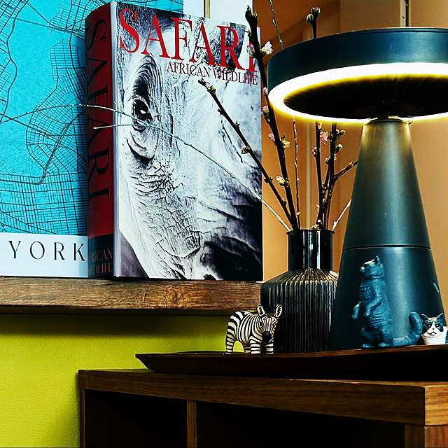 DAYONEさんの実例写真