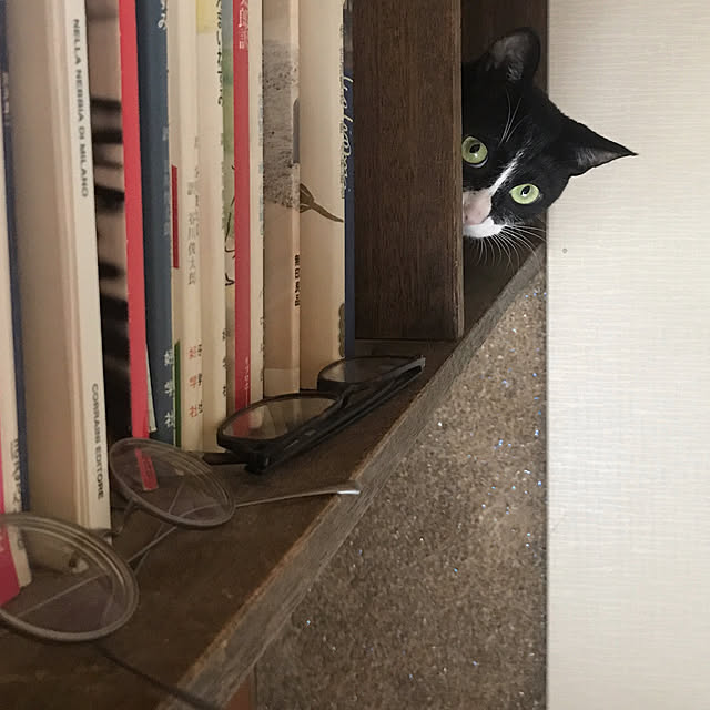 実例写真