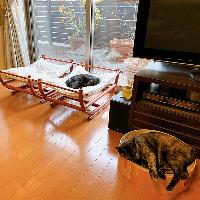 mameazさんの実例写真