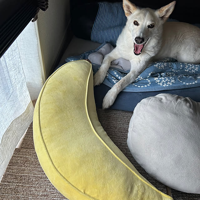 tanboさんの部屋