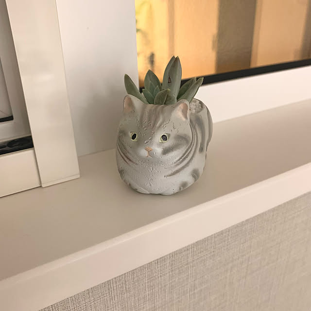 mariさんの実例写真