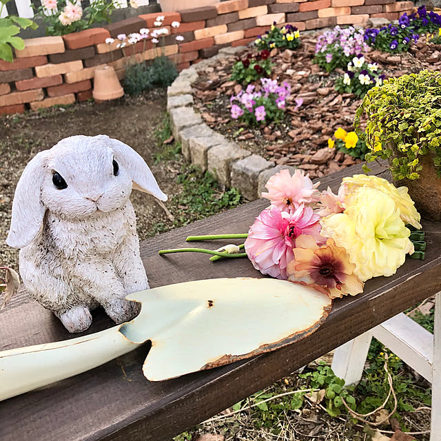 ponさんの実例写真