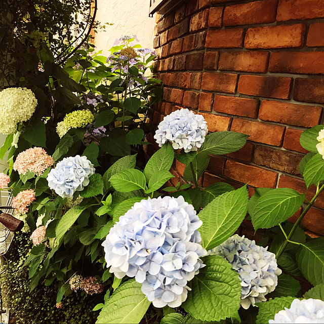 Ri-pochaさんの実例写真