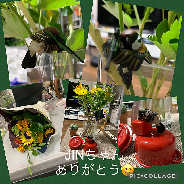Aqettyさんの実例写真