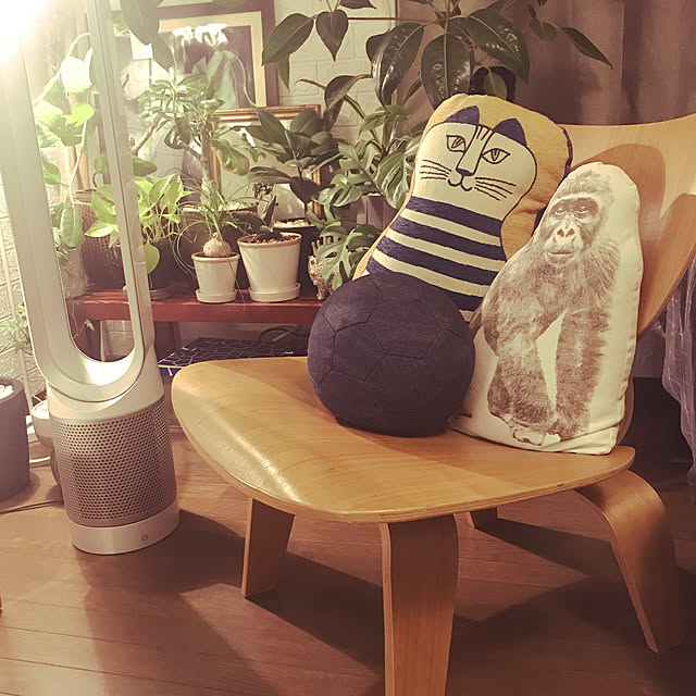 Chazさんの実例写真