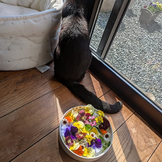 ramuramuさんの部屋