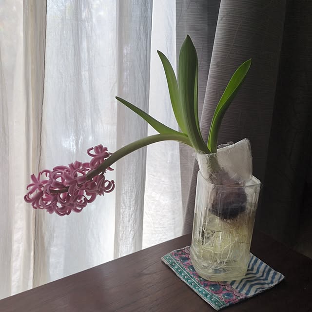 popoさんの実例写真