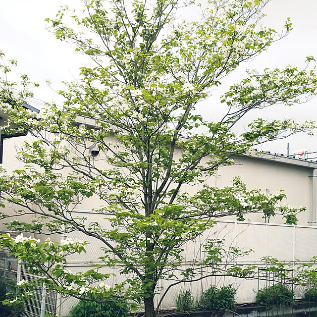 ocoさんの実例写真