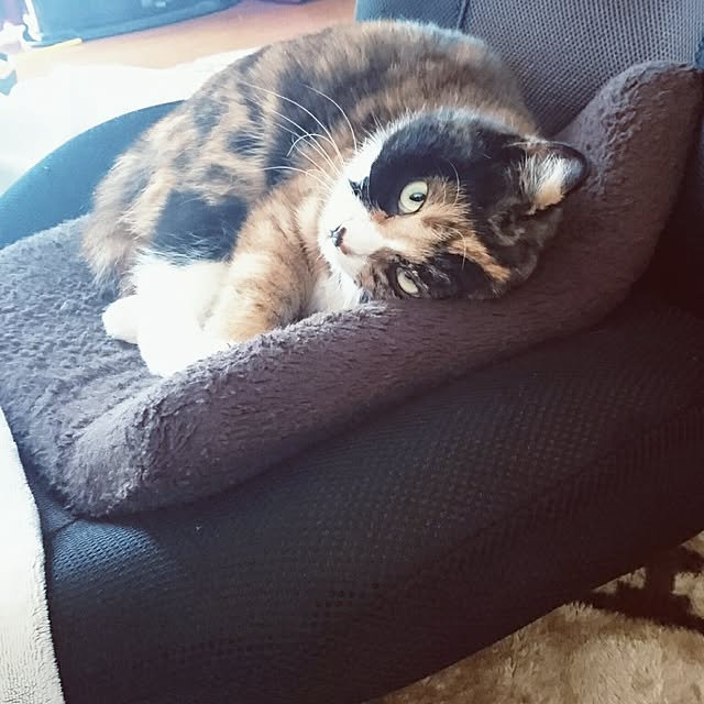 miyuさんの実例写真