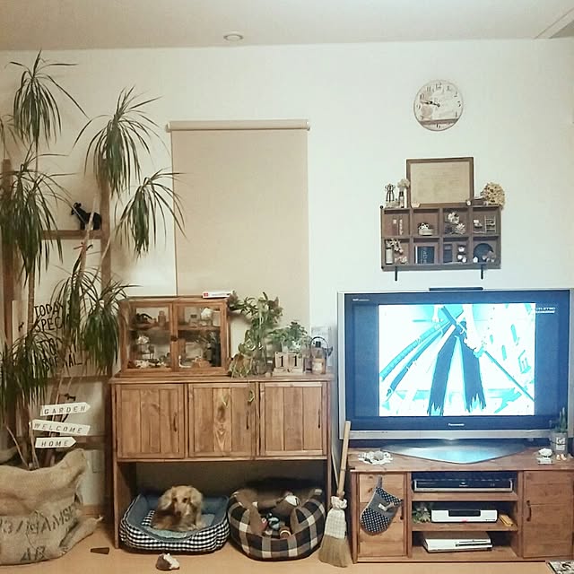 ayuminさんの実例写真