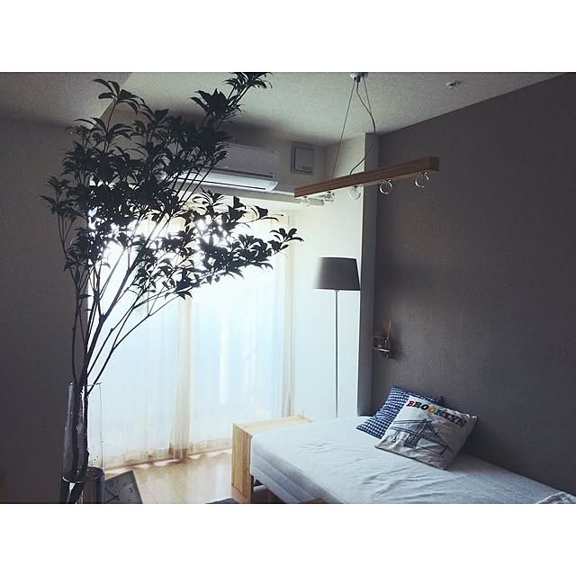 DailyRoomclip