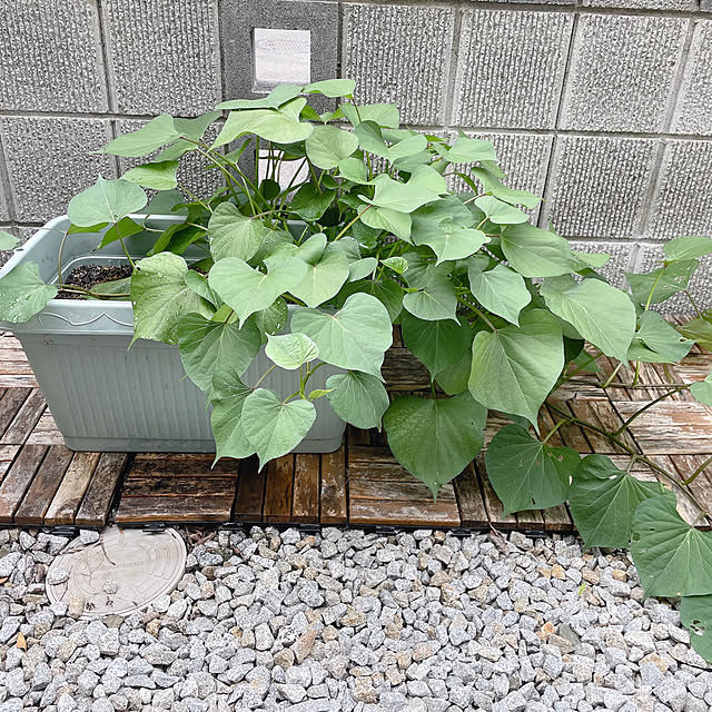 asuさんの部屋