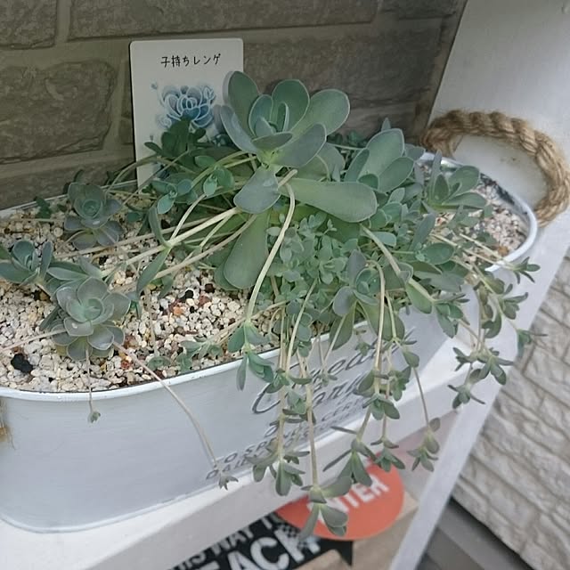 hideさんの実例写真