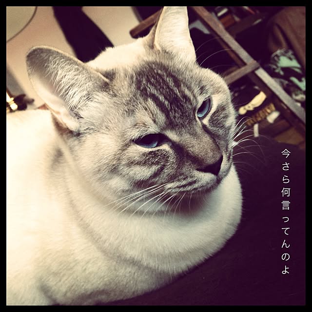 Naoki.さんの実例写真