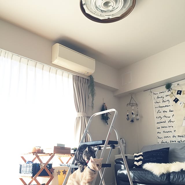 hiyupan88さんの実例写真