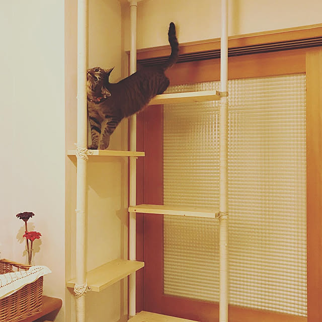rasさんの実例写真