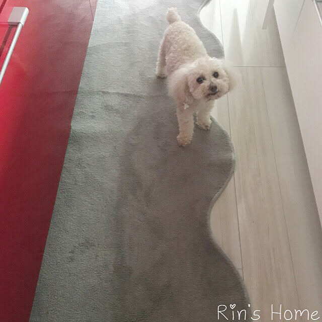 Rinさんの実例写真