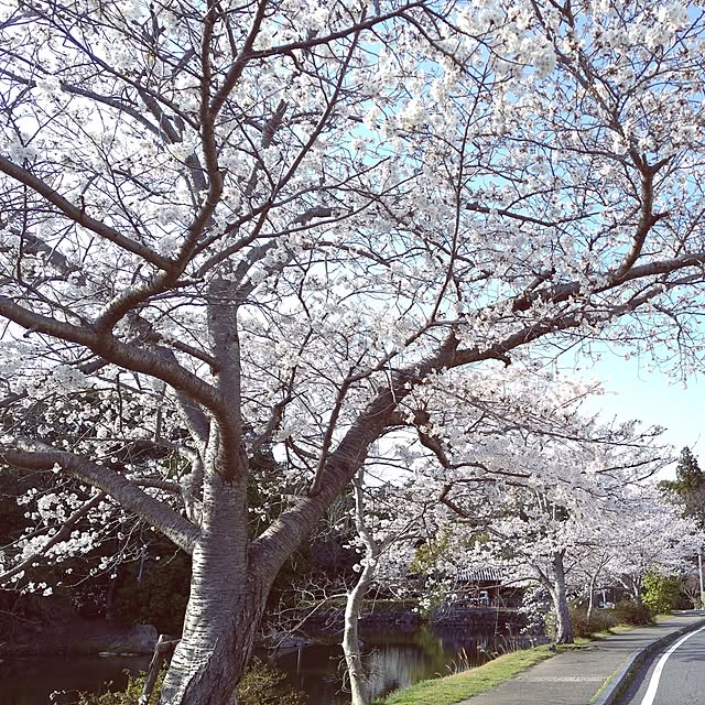 katさんの部屋